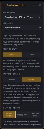 Review recording panel: picture quality, microphone, file format, capture engine and what to record